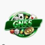GN55 Game